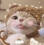 S4nsh1ne