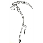 The Weirdo Mc.Leirdo Scythe Gang