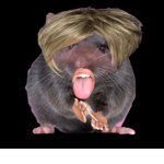 THE REEE RATS