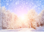 Cozy snowflake gaming