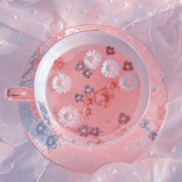 ʚ angelican homestore ɞ