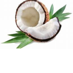 0nlyxcoconut