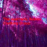 The Aesthetic Roblox Clothing Group