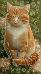 group orange tabby cat!