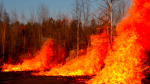 Ahhh a bushfire