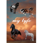 Horses of Crystals<3