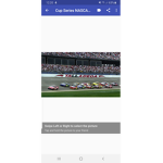 Monkey Loves Nascar