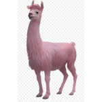 Only lamas