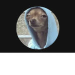 Dogocorn Squad