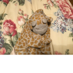Giraffe union