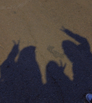 the.shadows <3