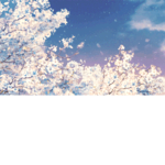 BTS A.R.M.Y only