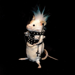 emo rat swimming pool