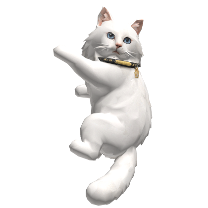 Clingy White Cat