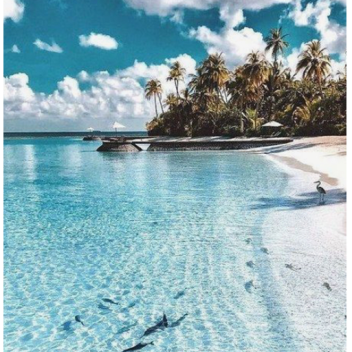 Hello my name is Ava!