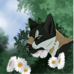 Dai's RP Group