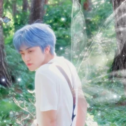 ✧ icon