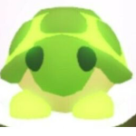 Neon turtle squad:)