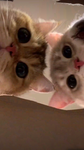 ღ Itz Tiger Cookie ღ