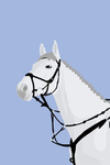 Willow Creek Stables Riding Academy
