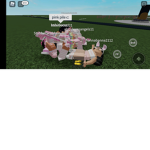 Besites