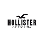 hollister fits