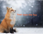 The People of FuzzyFox