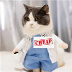 Cheap Awesome Clothing!
