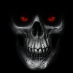 Fans Skull