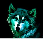 ~fluffy wolf R studios~