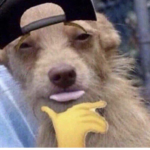 rObUx sIs