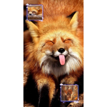 Blessing Fox