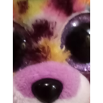 Nyan foxies