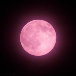 moonz and starz