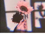 ๑ Grupo da Melissa ๑