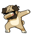 The Great Group Of Pugs