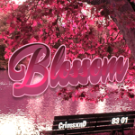 Blossoms dhc