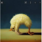 Groupe des tit poussins