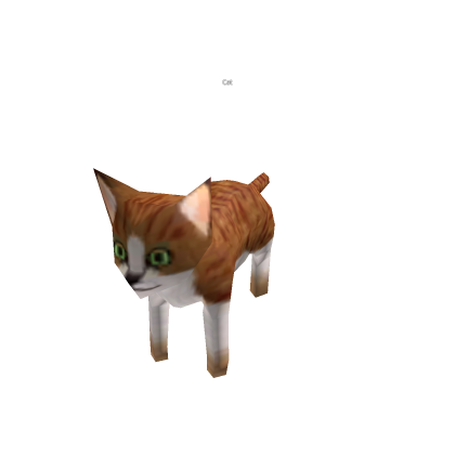 Please do not the cat.