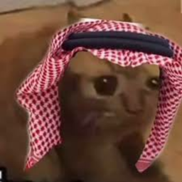 Arab life