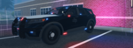 TEXAS HIGHWAY PATROL / STAFF TEAM