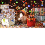 Mia's Birthday Club
