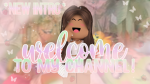 :) The Chicken Nuggets