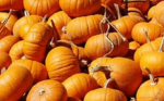 SPOOKY PUMPKINS