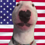 The USA Bloodline