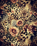 cider_designs