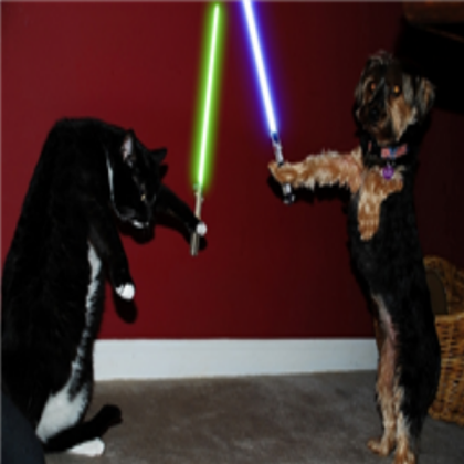 Cat vs Dog with Lightsabers Roblox decal