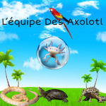 L’Équipe Des Axolotl