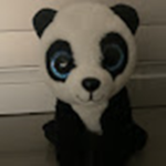 Mr Panda
