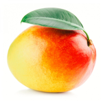My Mango Fan Group